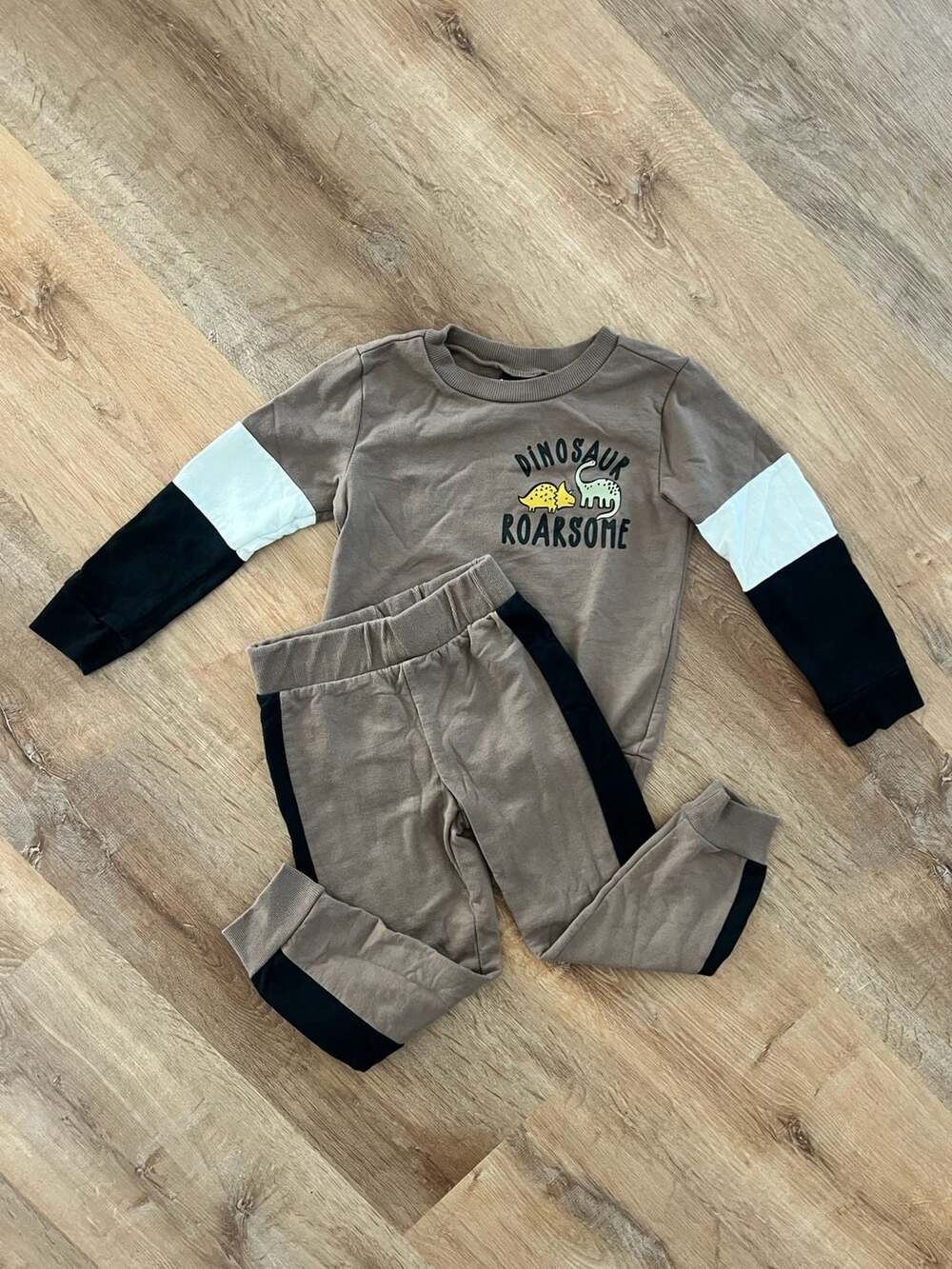 Little Rebels Dinosaur Roarsome Sweatshirt and Jogger Set Size 4T